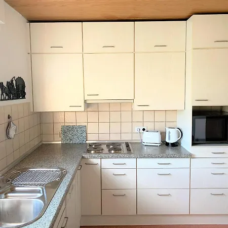 Bodensee Manzell شقة فريدريشسهافن